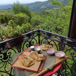 La Collina Olistica Bed & Breakfast Tregnago
